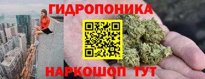 spice Пушкино