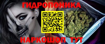прущие грибы Пыть-Ях