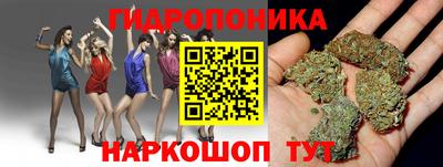 spice Пушкино