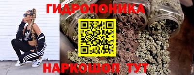 прущие грибы Пыть-Ях