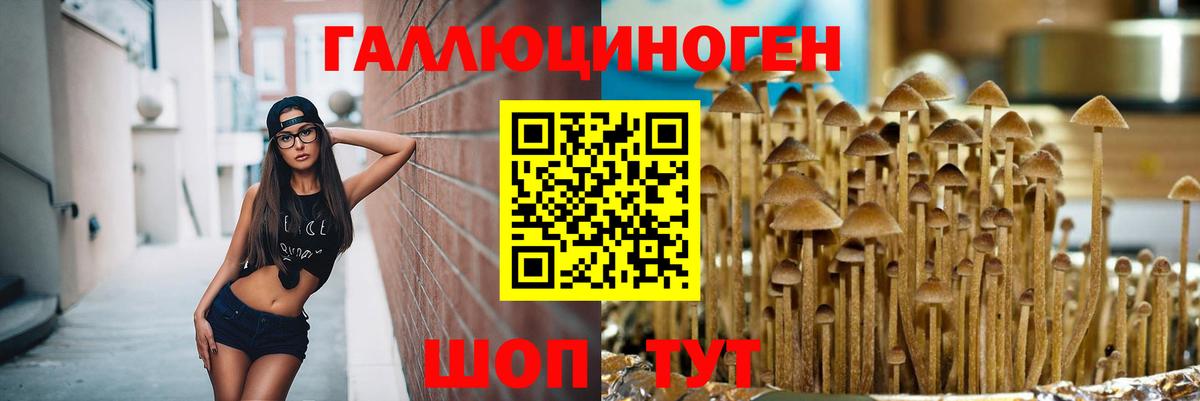 Галлюциногенные грибы Cubensis Первоуральск