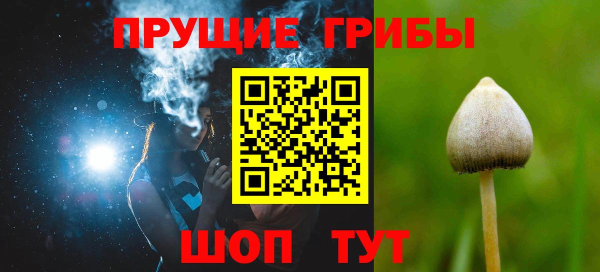 Первоуральск  где продают наркотики  Псилоцибиновые грибы мухоморы  Вход с VPN  Галлюциногенные грибы прущие грибы 